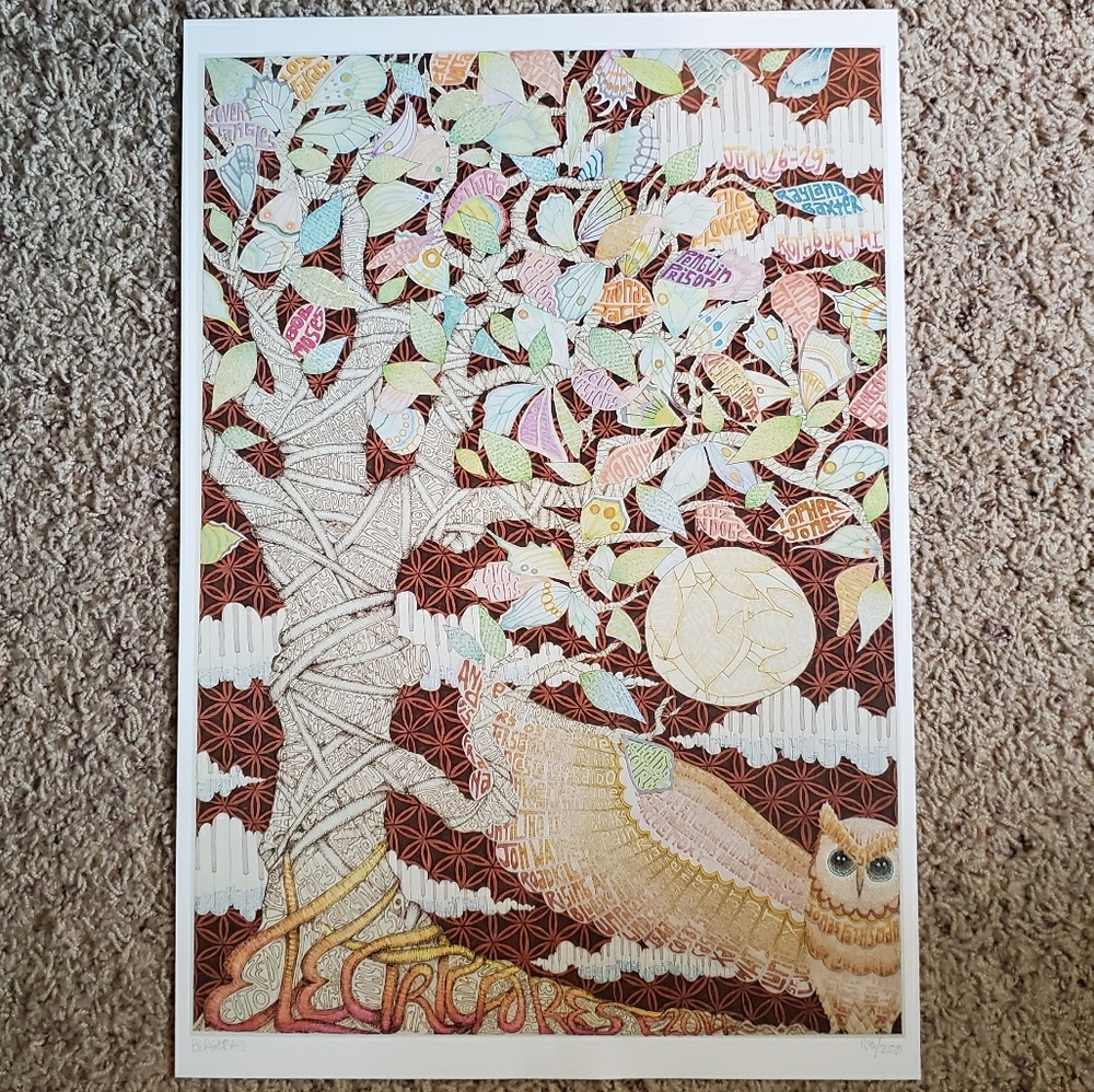 ~°2 for $25°~ Electric forest 2014 poster